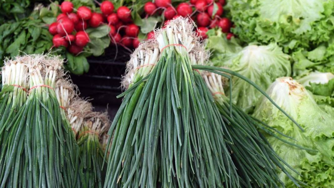TDK, bazı sözcüklerin yazımını değiştirdi: Artık böyle yazılacak! Editörleri yakından ilgilendiriyor 12